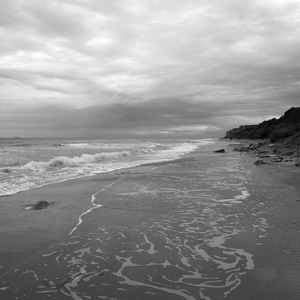 Plage, falaises et océan - noir et blanc - France  - collection de photos clin d'oeil, catégorie paysages